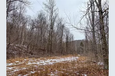 0 Tract 4 Twp Rd 815, Woodsfield, OH 43793 - Photo 24