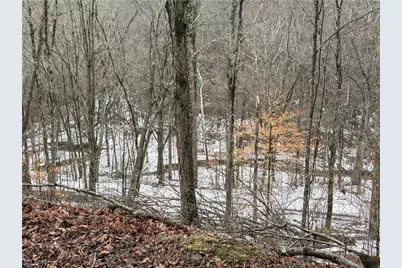 0 Tract 4 Twp Rd 815, Woodsfield, OH 43793 - Photo 18
