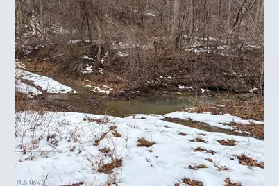 0 Tract 4 Twp Rd 815, Woodsfield, OH 43793 - Photo 22