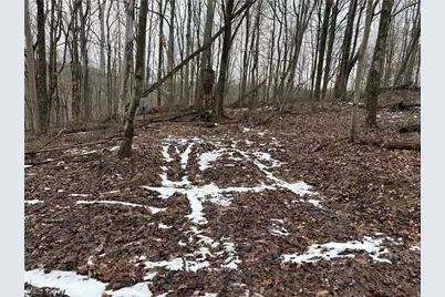 0 Tract 4 Twp Rd 815, Woodsfield, OH 43793 - Photo 6