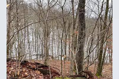 0 Tract 4 Twp Rd 815, Woodsfield, OH 43793 - Photo 30