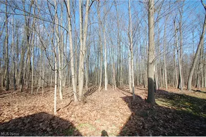 7863 Walnut Street #A, Boardman, OH 44512 - Photo 4