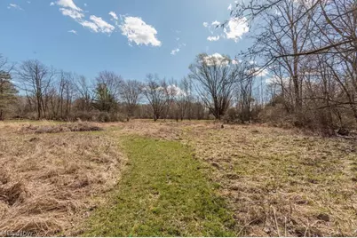 9900 Chatham Road, Spencer, OH 44275 - Photo 28