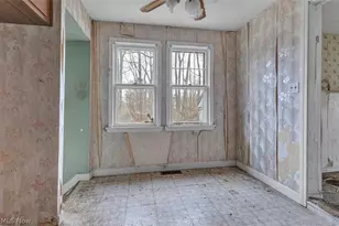 229 W 130th St, Hinckley, OH 44233 - Photo 12