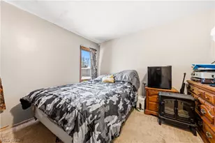 6040 Reynolds Rd, Mentor on the Lake, OH 44060 - Photo 14