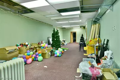 24 N Phelps Street, Youngstown, OH 44503 - Photo 36