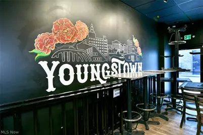 24 N Phelps Street, Youngstown, OH 44503 - Photo 26