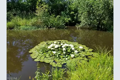 44565 Stang Road, Elyria, OH 44035 - Photo 44