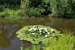 44565 Stang Rd, Elyria, OH 44035 - Photo 44