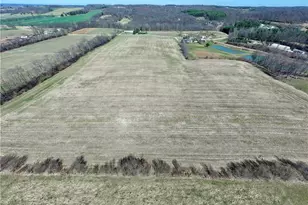 29100 Flat Run Rd, Danville, OH 43014 - Photo 44