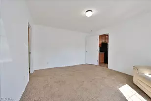 29 Carl Ln, Olmsted Twp, OH 44138 - Photo 14