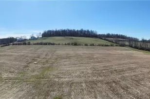 29100 Flat Run Rd, Danville, OH 43014 - Photo 44