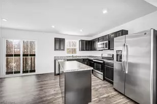 716 Pine Spring Dr, Painesville Twp, OH 44077 - Photo 12