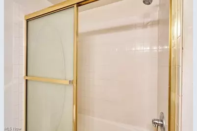 1153 Lily Street, Akron, OH 44301 - Photo 12