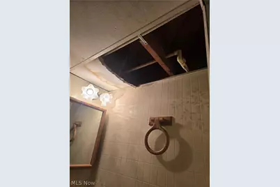 4309 Coddingville Road, Medina, OH 44256 - Photo 10