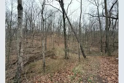 2630 Wilhelm Road, Chandlersville, OH 43727 - Photo 26