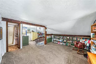 8511 Freedom Rd, Windham, OH 44288 - Photo 18