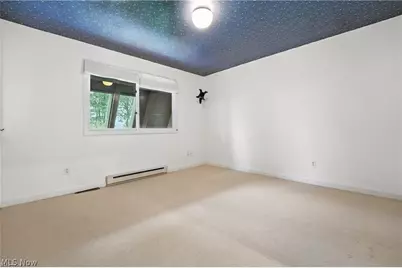 263 E Pine Lake Road, North Lima, OH 44452 - Photo 34