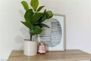 176 Grace Ave, Barberton, OH 44203 - Photo 20