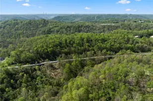 55844 T 132, Powhatan Point, OH 43942 - Photo 18