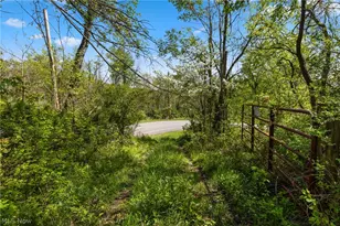 55844 T 132, Powhatan Point, OH 43942 - Photo 22