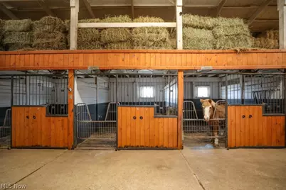 7821 Ferguson Road, Streetsboro, OH 44241 - Photo 22