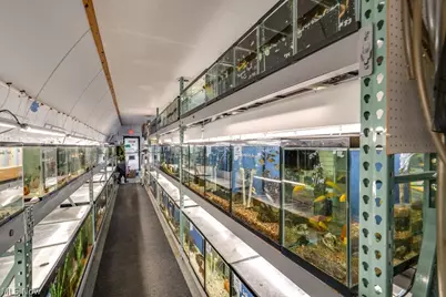 4873 Broadview Road, Loveland, OH 44109 - Photo 8