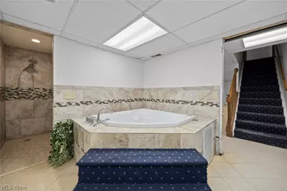 39738 Banks Road, Grafton, OH 44044 - Photo 46