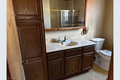 983 E 179 Street, Loveland, OH 44119 - Photo 14