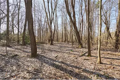 V/L 20 Ac Ridgewood Road, Fairlawn, OH 44333 - Photo 8