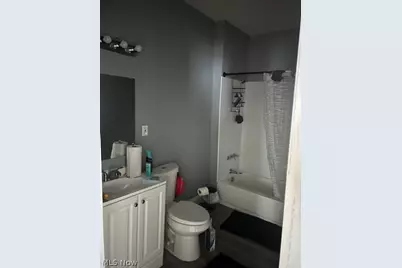 513 E 117 Street, Loveland, OH 44108 - Photo 8