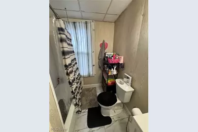 1427 E 51st Street, Loveland, OH 44103 - Photo 4