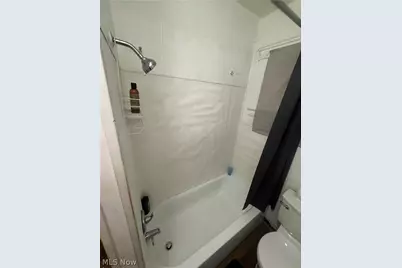 1427 E 51st Street, Loveland, OH 44103 - Photo 14