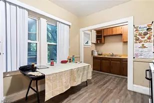 11224 Parkview Ave, Loveland, OH 44104 - Photo 18