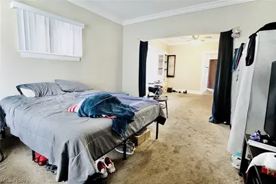 11224 Parkview Avenue, Loveland, OH 44104 - Photo 12