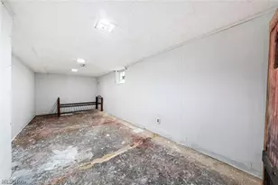 11224 Parkview Ave, Loveland, OH 44104 - Photo 28