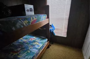 6994 Pymatuning Lake Rd, Andover, OH 44003 - Photo 4