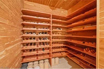 25 Brandon Court, Moreland Hills, OH 44022 - Photo 50