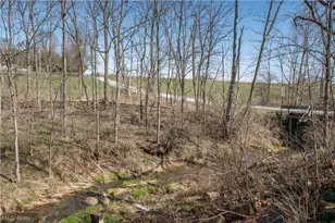 502 N Swinehart Rd, Orrville, OH 44667 - Photo 34