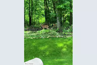 2080 Hawthorn Court, Green, OH 44720 - Photo 44