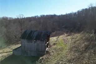 31785 Piedmont-Freeport Rd, Freeport, OH 43973 - Photo 46