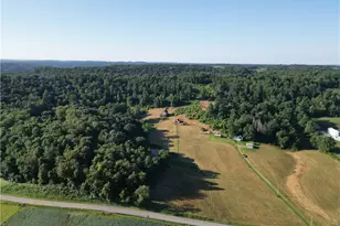 31785 Piedmont-Freeport Rd, Freeport, OH 43973 - Photo 4