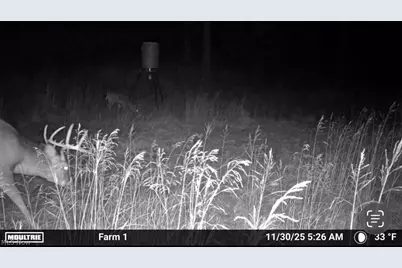 31785 Piedmont-Freeport Road, Freeport, OH 43973 - Photo 48