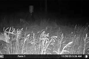 31785 Piedmont-Freeport Rd, Freeport, OH 43973 - Photo 48