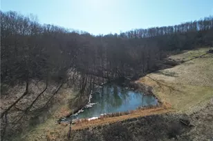 31785 Piedmont-Freeport Rd, Freeport, OH 43973 - Photo 6