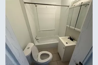 1028 E 146th Street, Loveland, OH 44110 - Photo 8