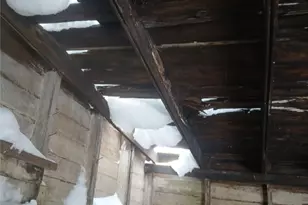 10329 Ignatius Ave, Loveland, OH 44111 - Photo 48