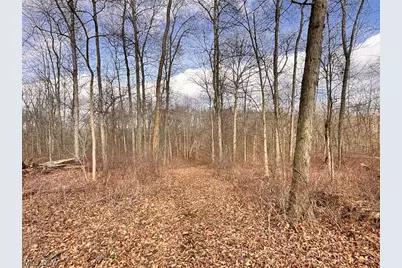 15 Glecoe Road SW, Dellroy, OH 44620 - Photo 38