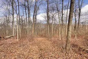 15 Glecoe Rd SW, Dellroy, OH 44620 - Photo 38