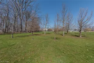 7310 Wolff Rd, Medina, OH 44256 - Photo 38